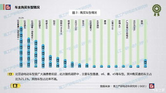 新能源乘用車終端市場調(diào)研報(bào)告 用戶偏好與市場格局分析